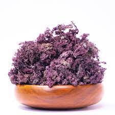 What is Purple Sea moss?