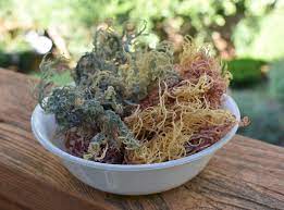 What is Full Spectrum Sea moss?