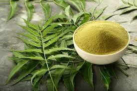 Neem leaf powder