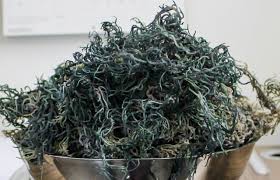 GREEN SEA MOSS