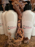 SEA MOSS INFUSED LOTION - shepherdseamoss